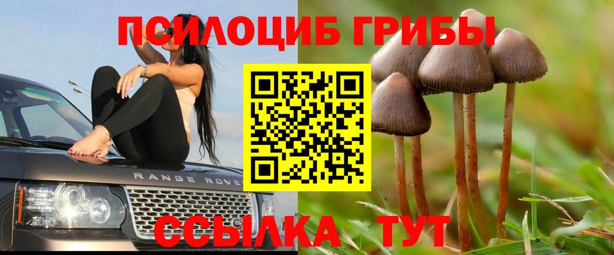 наркотики  Вход с VPN  Галлюциногенные грибы Cubensis  Подольск  Галлюциногенные грибы MAGIC MUSHROOMS 